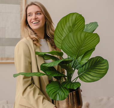Les plantes artificielles sont-elles écologiques ?