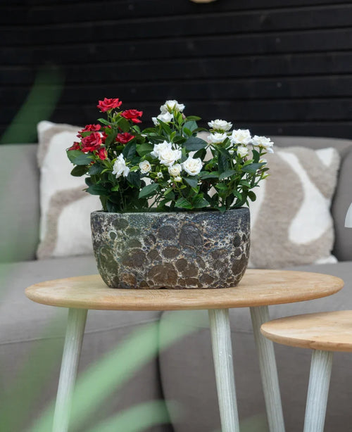 Une Plante Artificielle Patio Rose 35 cm crème UV se dresse sur une table ronde en bois devant un canapé beige avec des coussins à motifs.