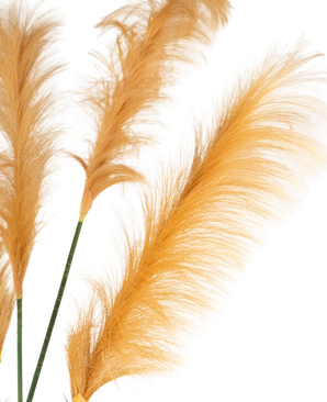 Trois tiges d'herbe de pampa artificielle orange doré de 150 cm, ignifuges, présentent des panaches légers comme une plume sur un fond blanc. Les textures douces et délicates sont magnifiquement mises en valeur par l'éclairage.