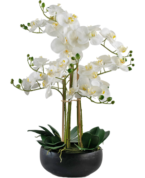 Orchidée artificielle Real Touch 50 cm blanche dans un pot noir