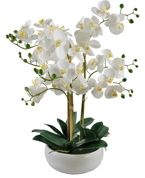 Orchidée artificielle Real Touch 50 cm blanc dans un pot blanc