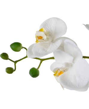 Orchidée artificielle Real Touch 50 cm blanc dans un pot blanc