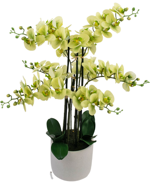 Orchidée artificielle Real Touch 81 cm vert