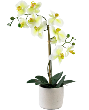 Orchidée artificielle Real Touch 60 cm vert/blanc