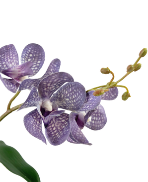 Ascocenda artificiel 50 cm violet