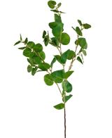 Branche artificielle Eucalyptus Classic vert 70 cm