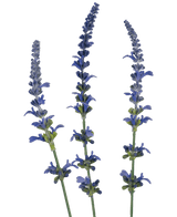 Branche artificielle Lavande bleu 66 cm