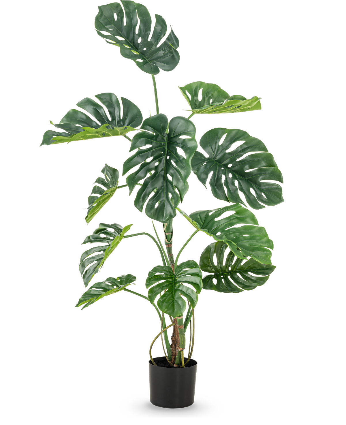 La plante artificielle Monstera 120 cm est un grand faux monstera en pot avec de grandes feuilles vertes brillantes avec des trous et des fissures d'aspect naturel, sur un fond blanc uni.