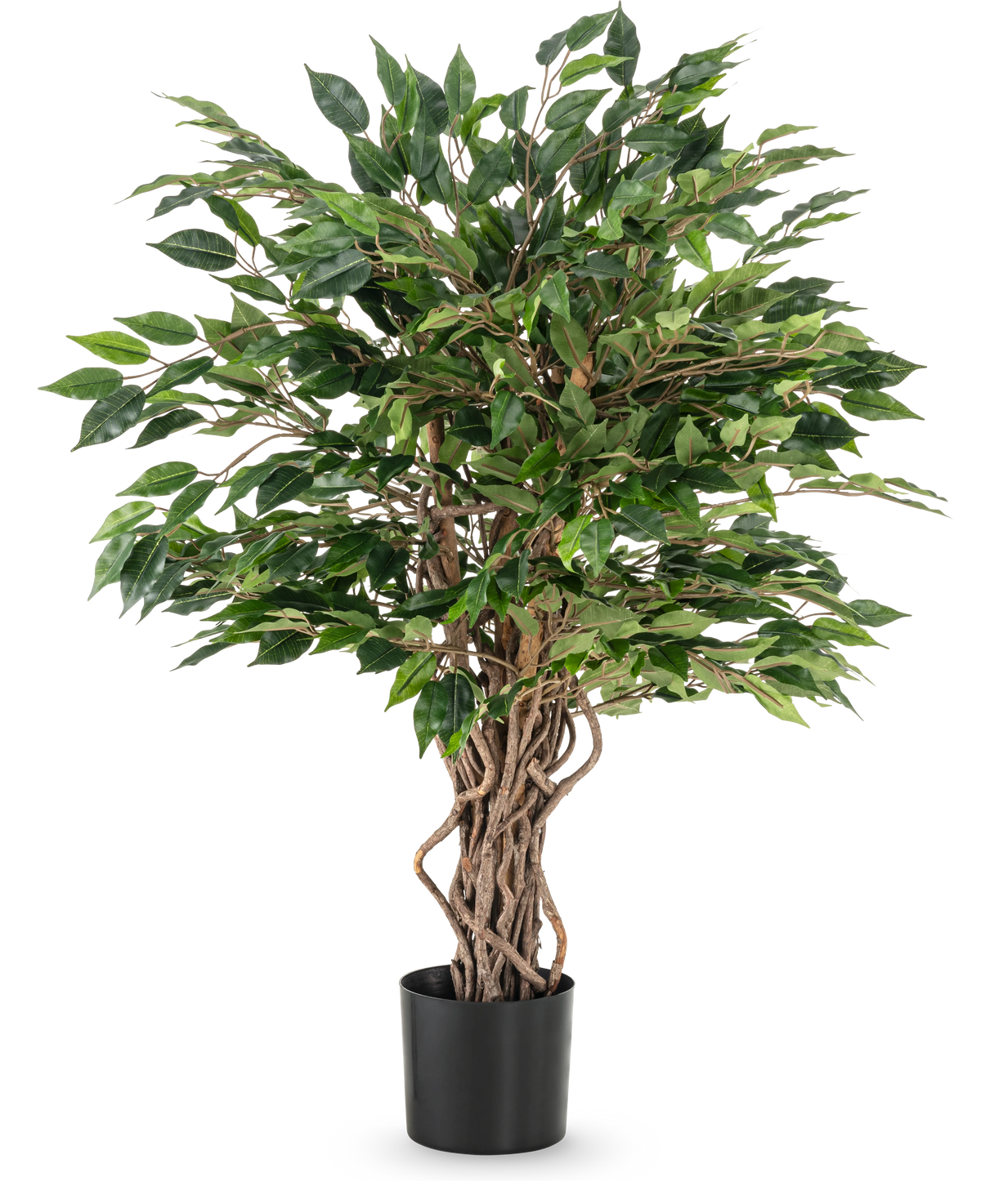 La plante artificielle Ficus Liana 90 cm a des troncs bruns torsadés et des feuilles vertes denses dans un pot noir, idéale comme plante de bureau ou pour toute collection de ficus, représentée sur un fond blanc.