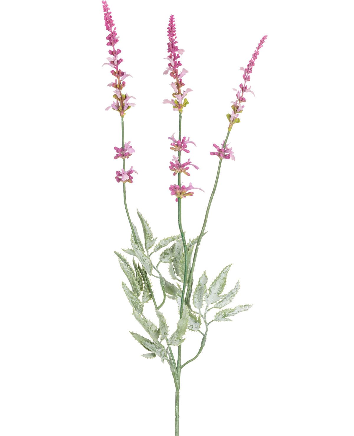 La Branche Artificielle Lavande 66 cm violette possède une tige unique avec trois épis hauts et élancés de petites fleurs violettes et plusieurs feuilles vertes dentelées sur fond blanc.