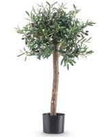 L'Olivier artificiel UV 85 cm possède un tronc droit, des feuilles vertes denses et de petites olives noires. Cette plante artificielle facile d'entretien dans un pot noir reste toujours belle et est parfaite pour l'intérieur ou l'extérieur grâce à sa résistance aux UV.