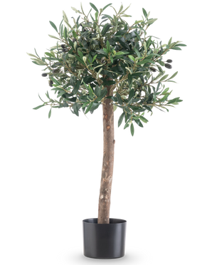 L'Olivier artificiel UV 85 cm possède un tronc droit, des feuilles vertes denses et de petites olives noires. Cette plante artificielle facile d'entretien dans un pot noir reste toujours belle et est parfaite pour l'intérieur ou l'extérieur grâce à sa résistance aux UV.