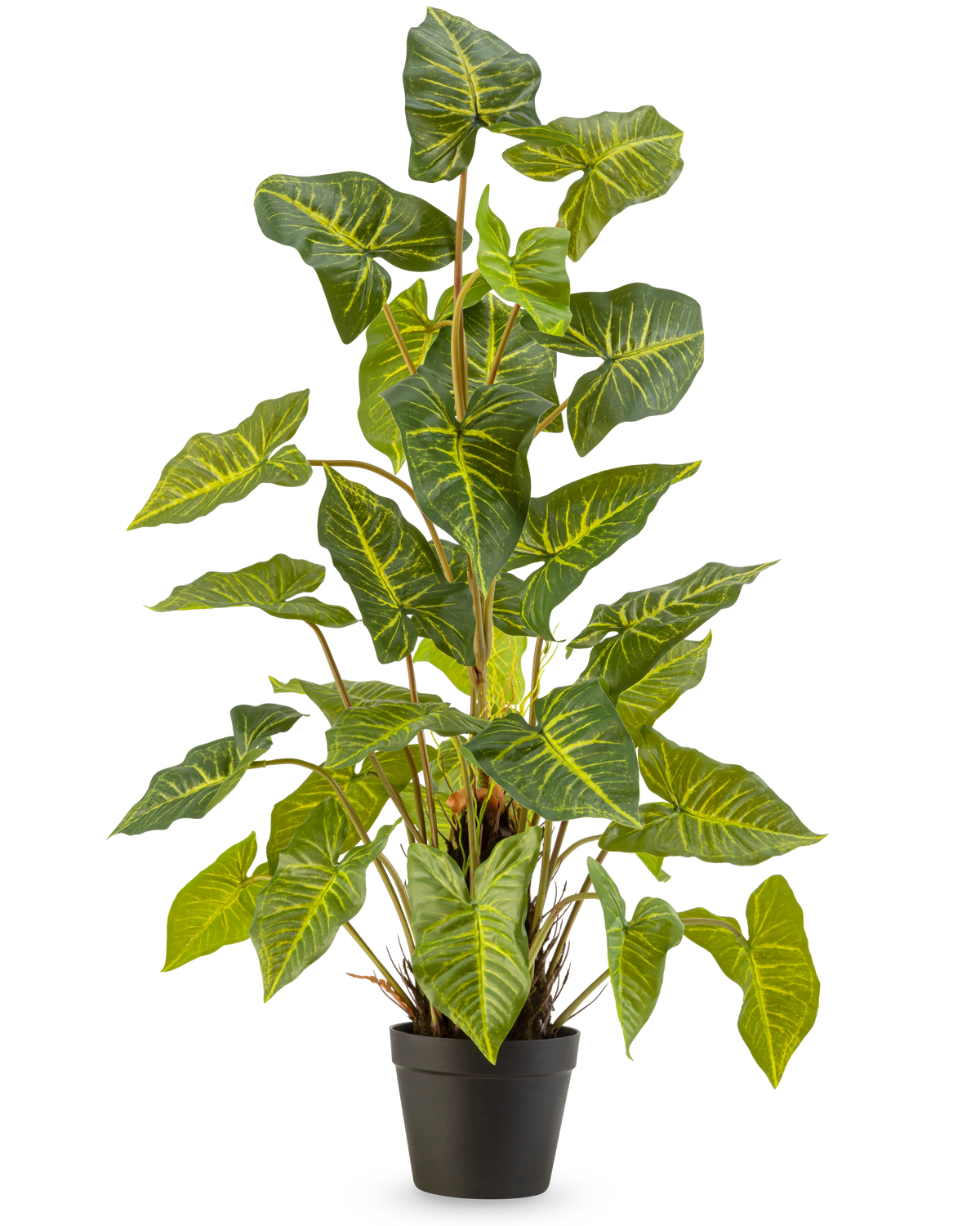 La Plante Artificielle Trapa Bispinosa 90 cm vert est une plante en pot avec de grandes feuilles vertes en forme de cœur veinées de jaune, dans un pot noir sur un fond uni clair.
