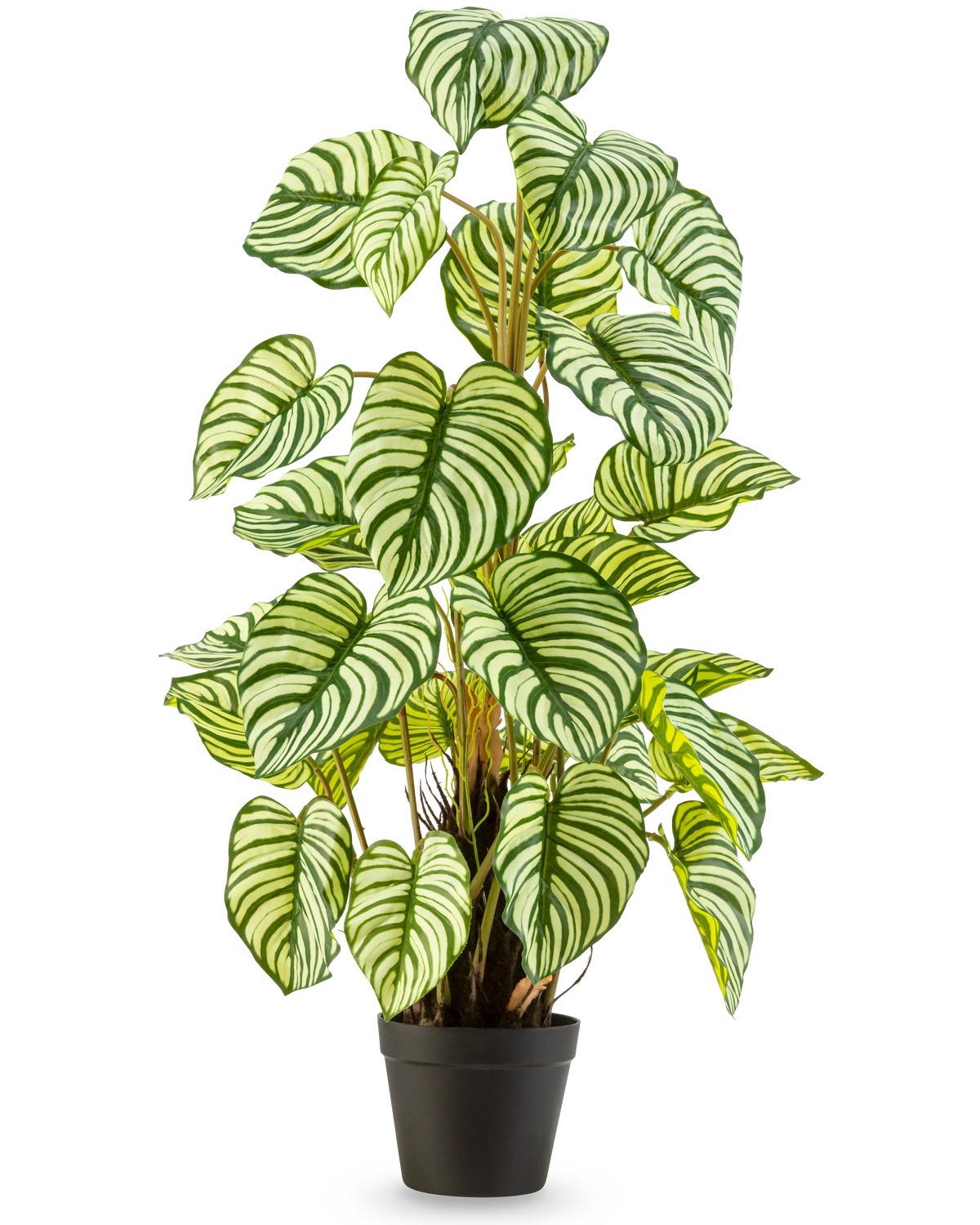 La Plante Artificielle Anthurium 90 cm vert est une plante artificielle en pot avec de grandes feuilles ovales rayées vert-blanc, debout dans un pot noir sur un fond uni blanc.