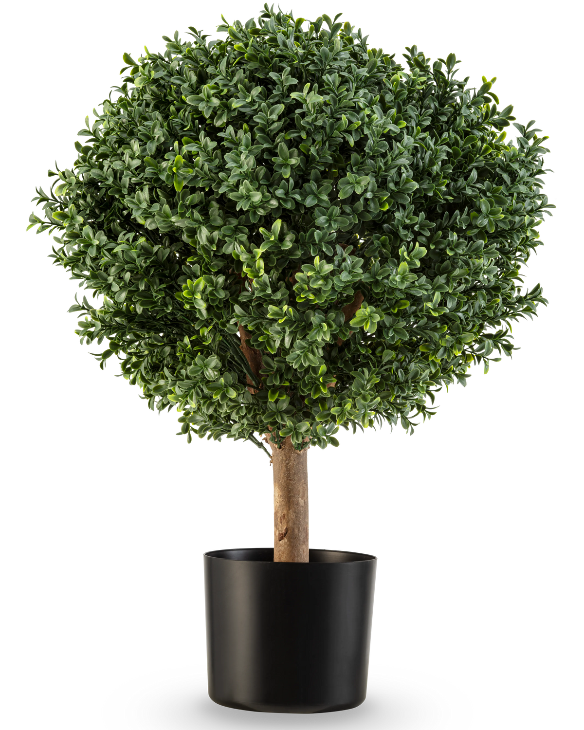 Le Buis Artificiel sur Tige Style Romain UV 65 cm a une forme ronde et verte luxuriante avec un feuillage dense dans un simple pot noir, parfait pour ajouter de l'élégance sur un fond blanc.