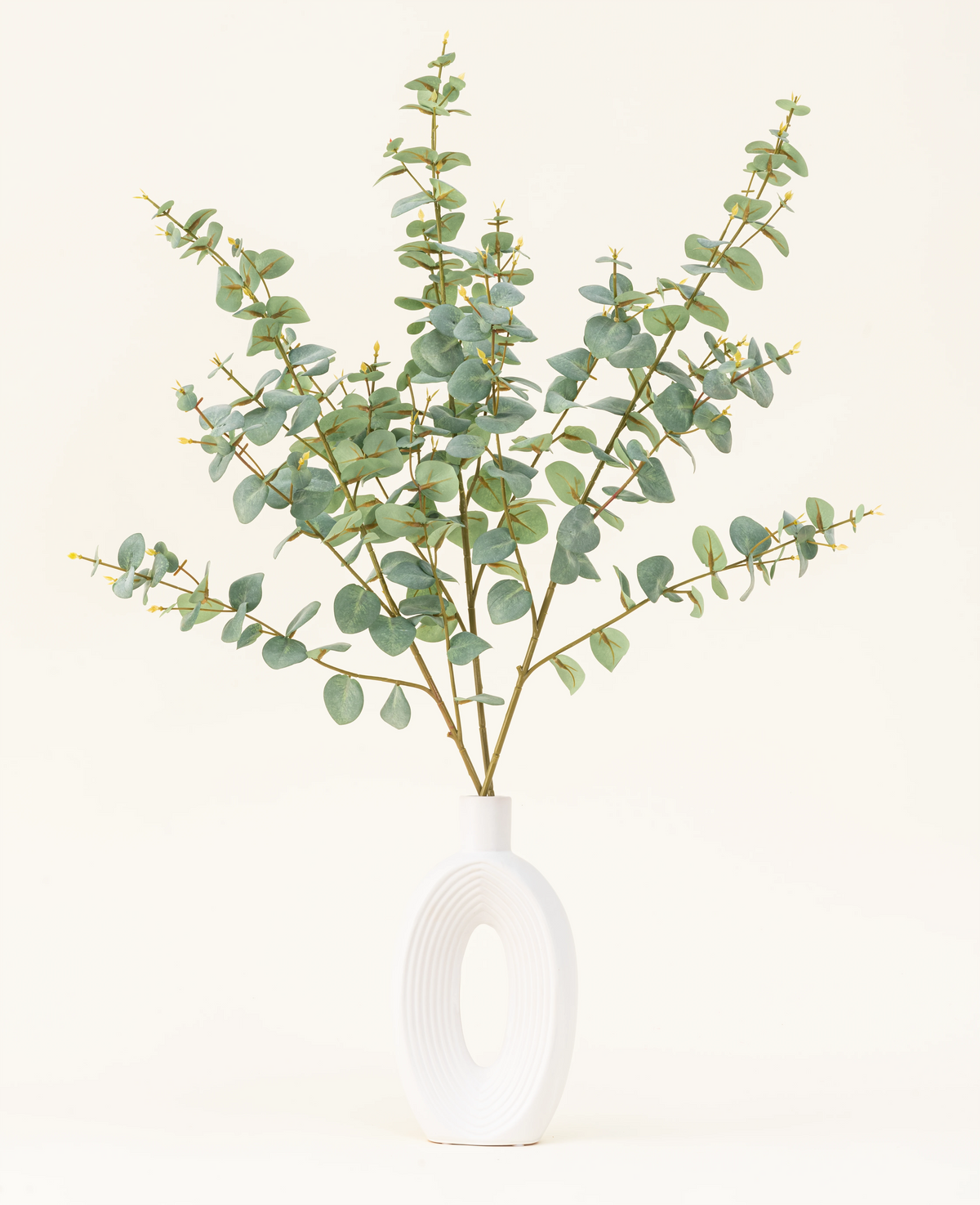 Un vase blanc moderne au design circulaire ouvert contient le bouquet de fleurs artificielles en soie Eucalyptus, avec des branches d'eucalyptus artificielles avec des feuilles vertes rondes sur un fond uni blanc cassé.
