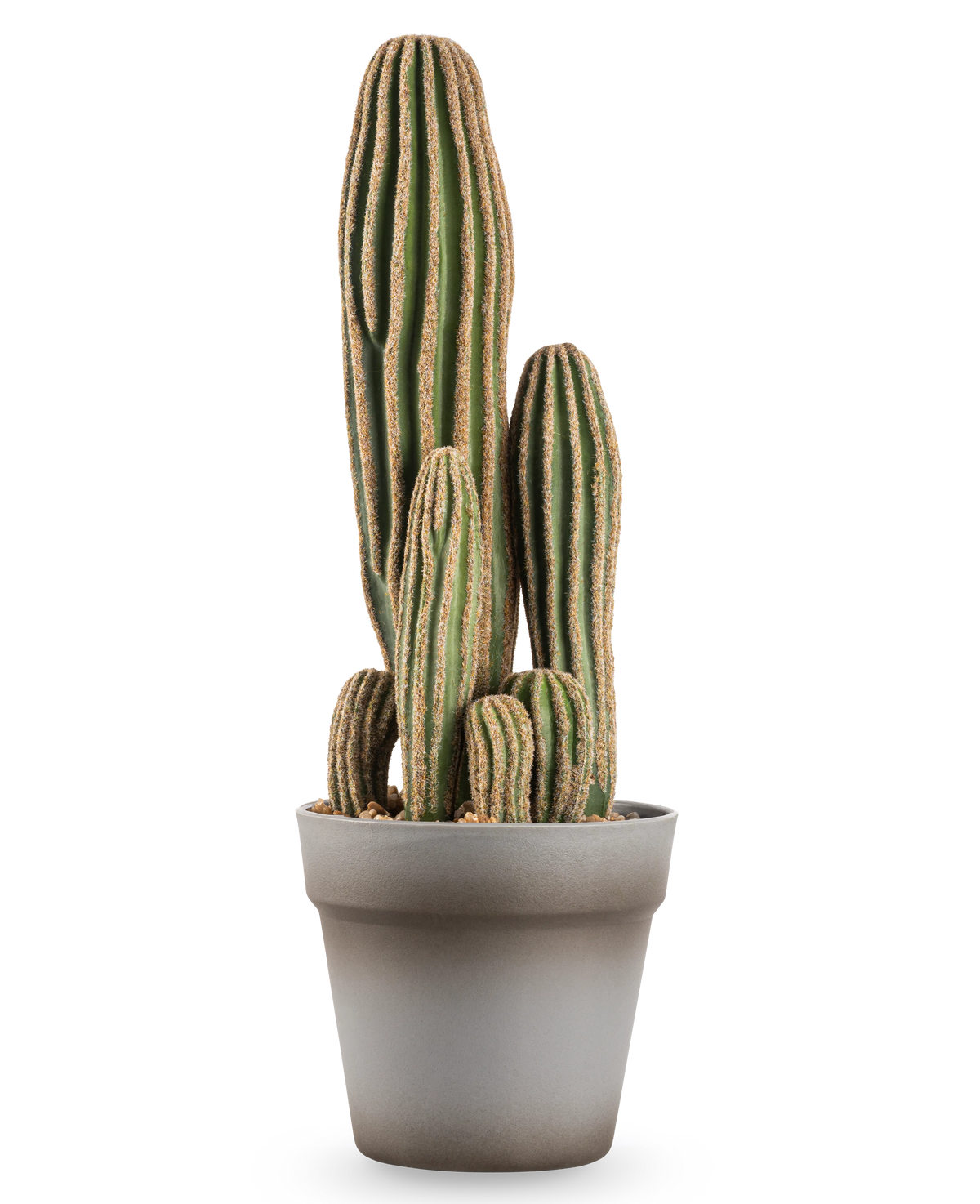 Le cactus artificiel de 41 cm est un grand cactus artificiel vert à plusieurs tiges avec des crêtes verticales et des bords marron, présenté dans un simple pot de fleur gris sur un fond blanc.