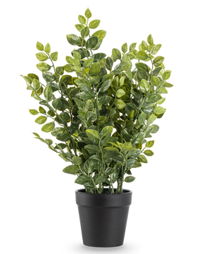 La Plante Artificielle Verte 35 cm est une plante artificielle réaliste en pot avec des feuilles vertes luxuriantes dans un simple pot noir, représentée sur un fond blanc uni.