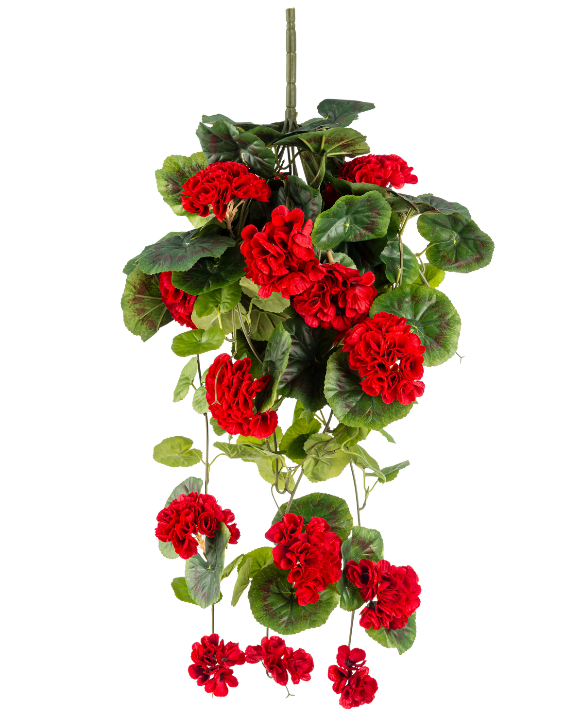 La plante artificielle suspendue Géranium 75 cm rouge a des fleurs de géranium artificielles rouge vif avec des feuilles vertes luxuriantes qui tombent élégamment.