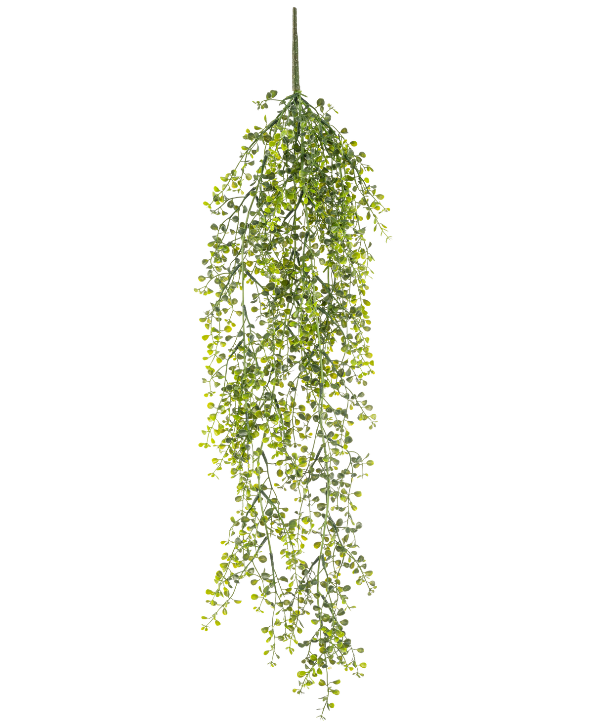 La Plante artificielle suspendue Buxus 80 cm est une plante artificielle suspendue avec de longues vrilles vertes sinueuses et de petites feuilles rondes sur un fond blanc.