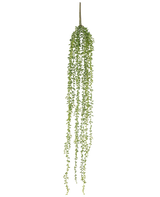 La plante artificielle suspendue Senecio 91 cm possède de longues tiges pendantes avec de petites feuilles vertes, créant une élégante plante artificielle suspendue sur un fond blanc uni.