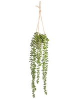La plante artificielle suspendue Senecio en pot de 55 cm a de longues tiges vertes suspendues avec des feuilles rondes, suspendues dans un pot blanc sur une corde beige, parfaite pour ajouter de la verdure à n'importe quel espace.