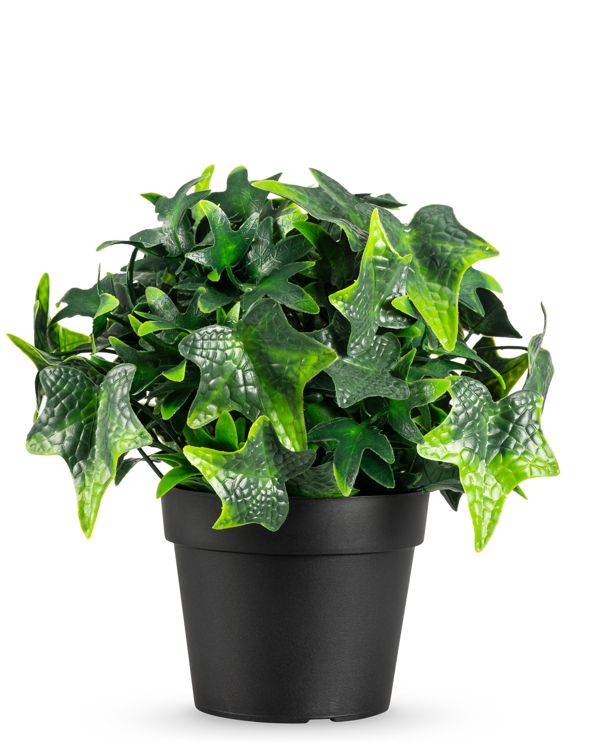 La plante artificielle Lierre en pot UV 20 cm présente des feuilles de lierre artificielles vertes en forme d'étoile dans un simple pot noir, présentées sur un fond blanc.