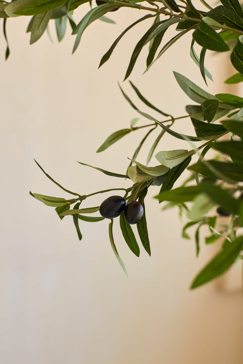 Une branche d'olivier aux feuilles vertes et deux olives violet foncé sur fond beige, qui évoque l'aspect réaliste de l'Olivier Artificiel 200 cm.