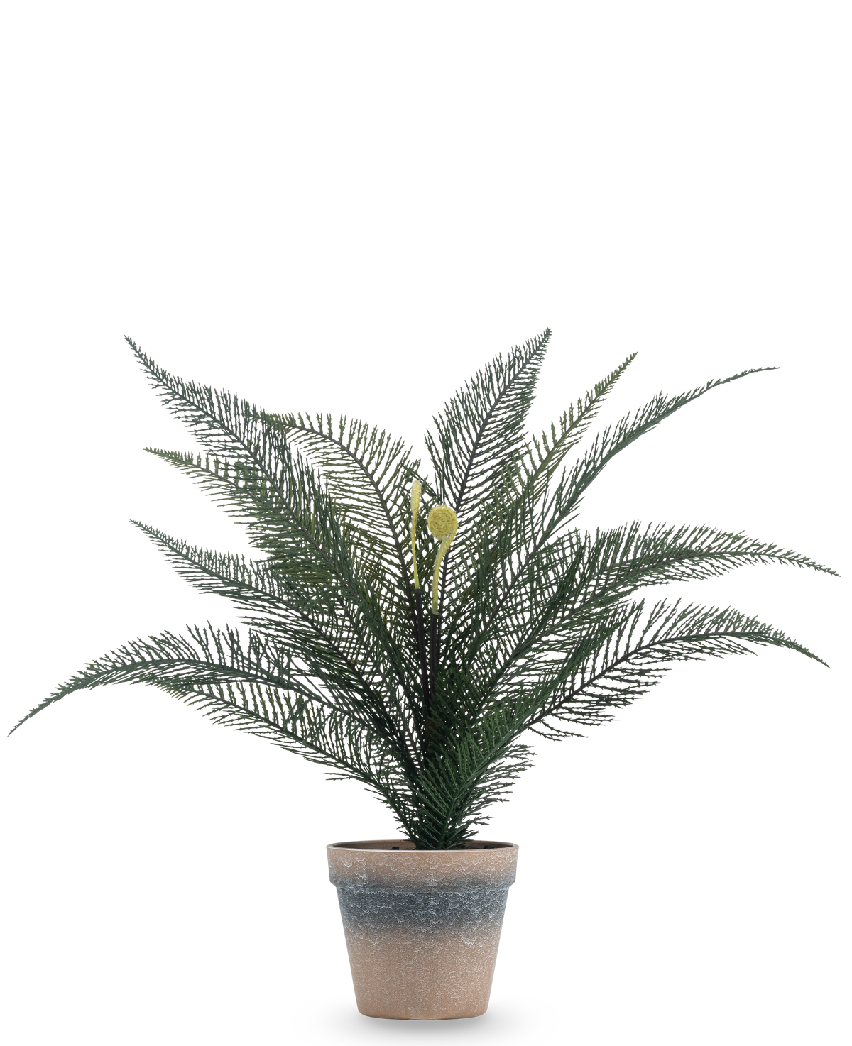 Plante artificielle Fougère Phoenix de 39 cm dans un pot simple en terre cuite patinée avec des feuilles vertes luxuriantes et plumeuses sur un fond blanc uni.