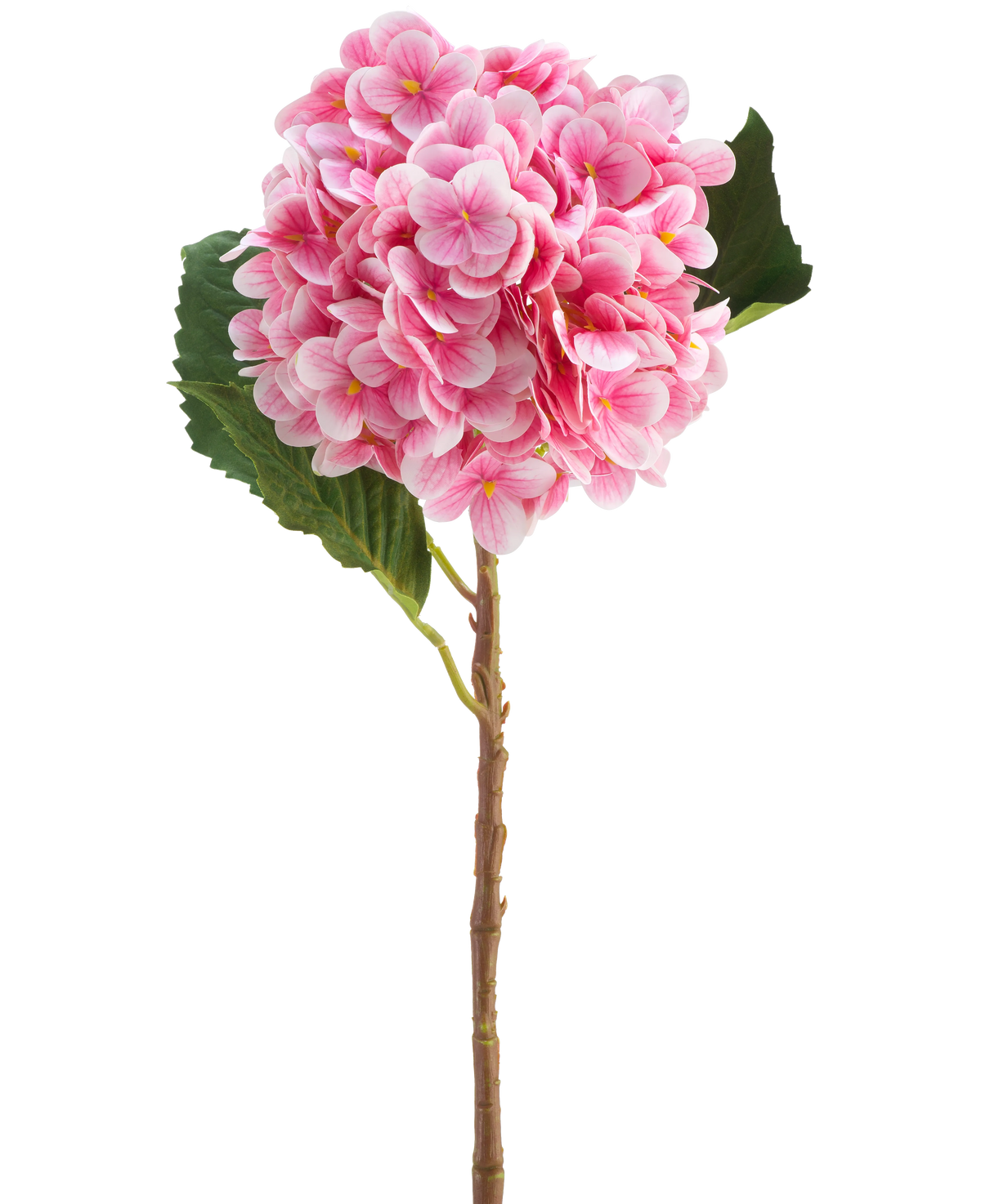 La fleur artificielle Hortensia Real Touch rose 58 cm est une simple tige d'hortensia artificielle rose avec des feuilles vertes, avec une fleur ronde de nombreux petits pétales, magnifiquement détaillée et isolée sur un fond blanc.