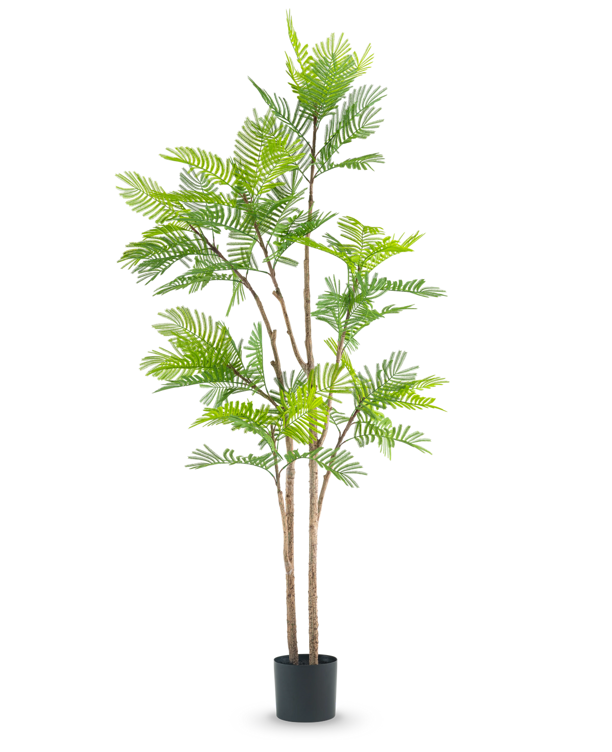 La fougère artificielle de 210 cm est une grande plante artificielle avec de multiples tiges brunes fines et des feuilles vertes luxuriantes ressemblant à des fougères, sur un fond blanc uni.