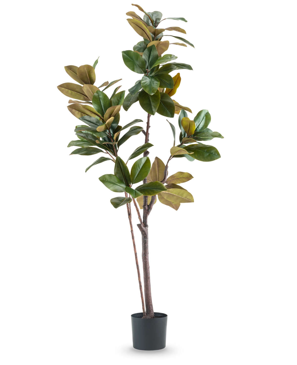 L'arbre Yulania artificiel 180 cm est une plante artificielle haute et facile d'entretien avec de larges feuilles vertes et brunes brillantes, plusieurs tiges fines et un pot cylindrique noir, sur un fond blanc uni.