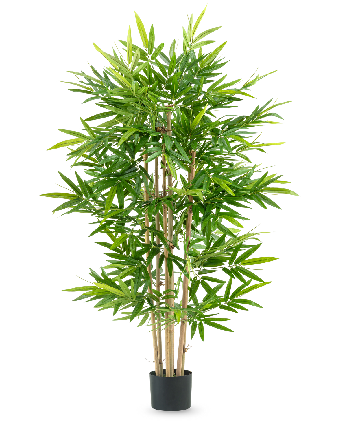 La plante artificielle bambou 150 cm possède plusieurs tiges de bambou fines et des feuilles vertes luxuriantes dans un petit pot noir, sur un fond blanc uni.