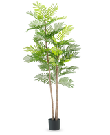 La fougère artificielle 150 cm est une grande plante artificielle avec de fines tiges brunes et des feuilles vertes ressemblant à des fougères, dans un petit pot noir sur un fond blanc uni.