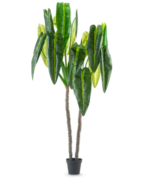 La plante artificielle Anthurium 240 cm est une grande plante artificielle en pot avec deux tiges brunes et de grandes feuilles vertes allongées sur un fond blanc uni.