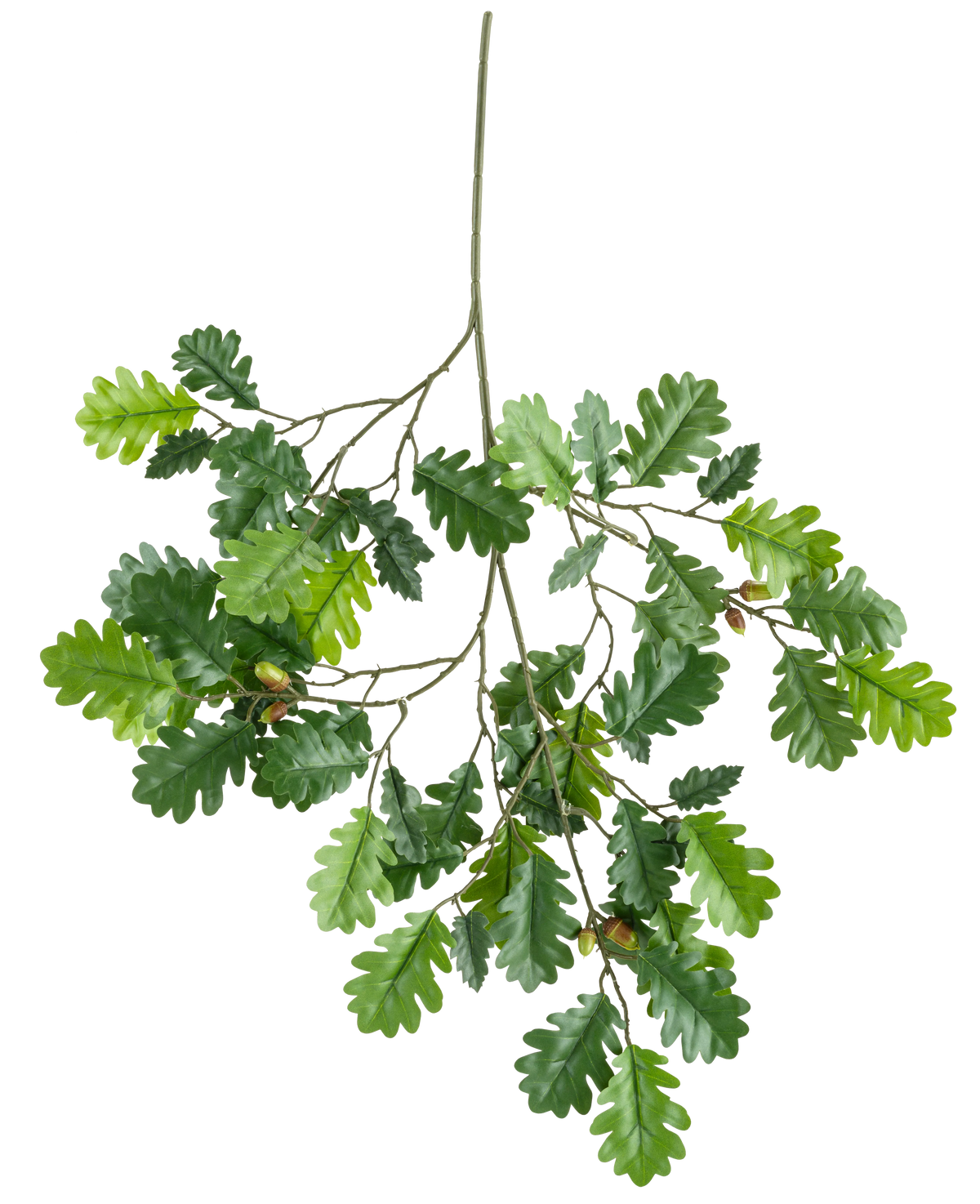 La Branche Artificielle Branche de Chêne 67 cm FR possède une branche avec plusieurs feuilles de chêne vertes et quelques glands sur un fond blanc.