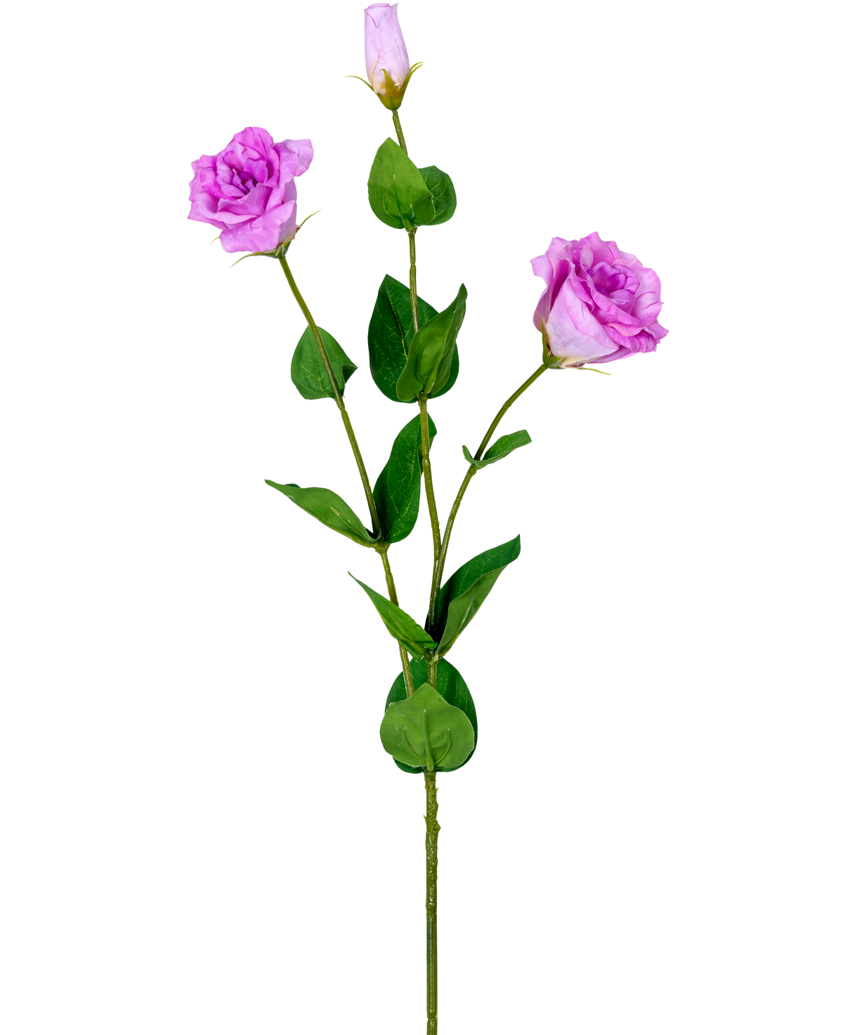 L'Eustoma artificielle Real Touch Rose 72 cm a une seule tige verte avec trois roses artificielles violet clair à différents stades de floraison et différentes feuilles vertes, représentées sur un fond blanc.