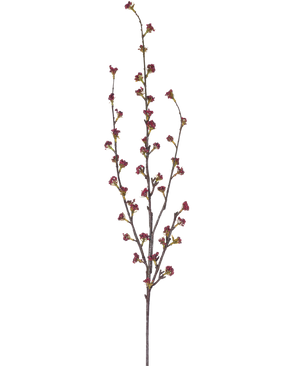 La Branche Artificielle Callicarpa 104 cm violet possède des branches élancées avec de multiples tiges fines, chacune décorée de petites grappes de bourgeons violet foncé, sur un fond uni blanc.