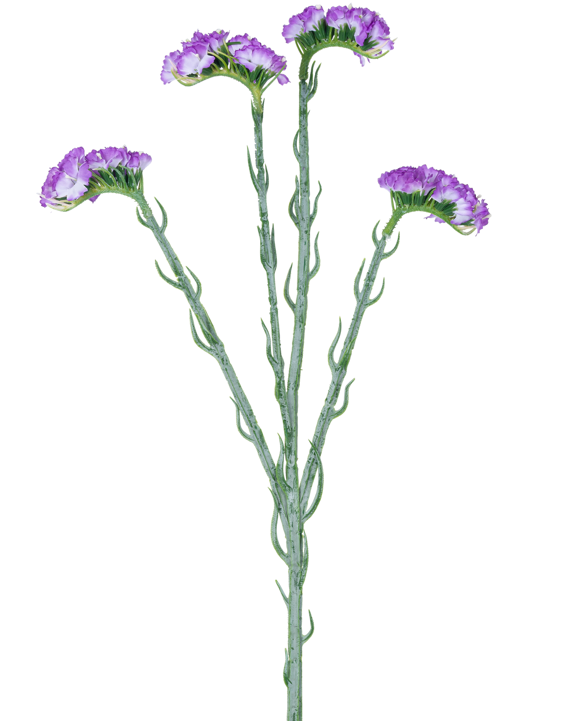 La Branche Artificielle Statice 64 cm violet possède une seule tige verte à cinq branches, chacune recouverte de grappes de petites fleurs violettes à volants, sur un fond blanc.