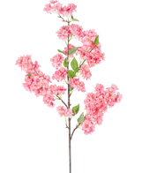 La Fleur de Cerisier Artificielle 100 cm rose est une seule branche de fleur de cerisier artificielle avec des bouquets de fleurs rose vif et des feuilles vertes, parfaites pour un usage décoratif.