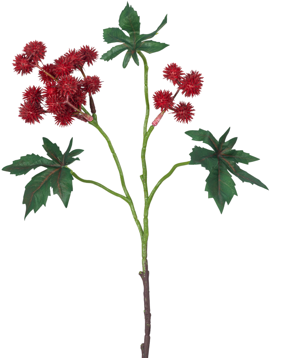 La Branche Artificielle Ricinus 43 cm rouge vin a une branche de ricin avec des gousses épineuses rouge vin et de grandes feuilles vertes en forme d'étoile sur fond blanc.
