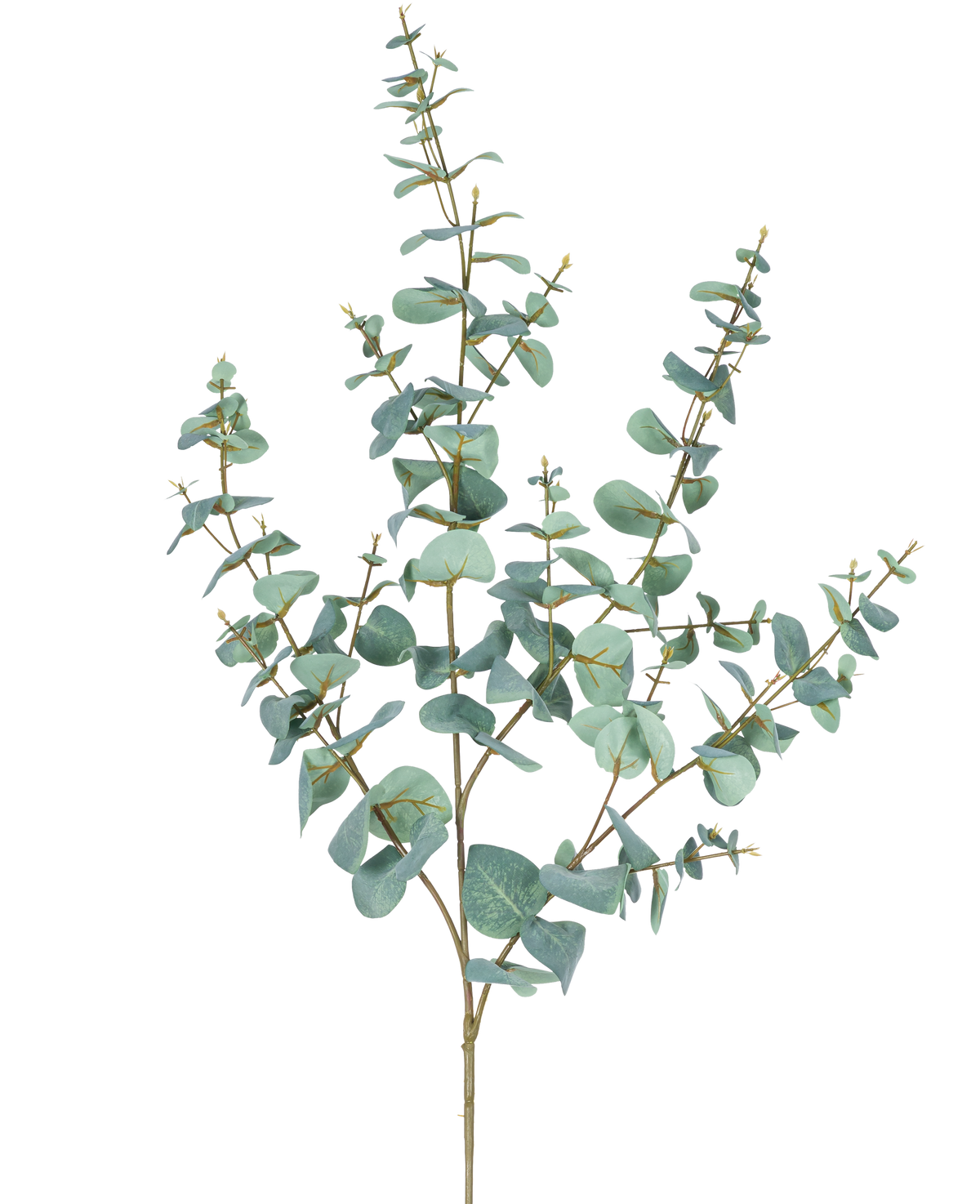 L'Eucalyptus Artificiel 120 cm possède plusieurs tiges fines et des feuilles rondes bleu-vert sur un fond uni blanc.