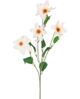La Clématite artificielle Real Touch Rose/crème 88 cm a une seule tige verte avec quatre fleurs rose clair épanouies avec un centre jaune-orange doux et plusieurs feuilles vertes, toutes isolées sur un fond blanc.