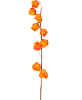 Une seule tige de fleur artificielle Physalis Lampion de 90 cm orange, avec plusieurs gousses orange vif en forme de lanterne, est présentée sur un fond blanc uni.
