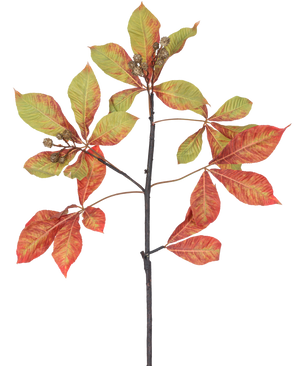 Une branche de châtaignier artificielle de 91 cm, branche rouge/verte avec des grappes de feuilles rouges et vertes, certaines avec des bords bruns, ainsi que de petites gousses brunes sur un fond blanc.