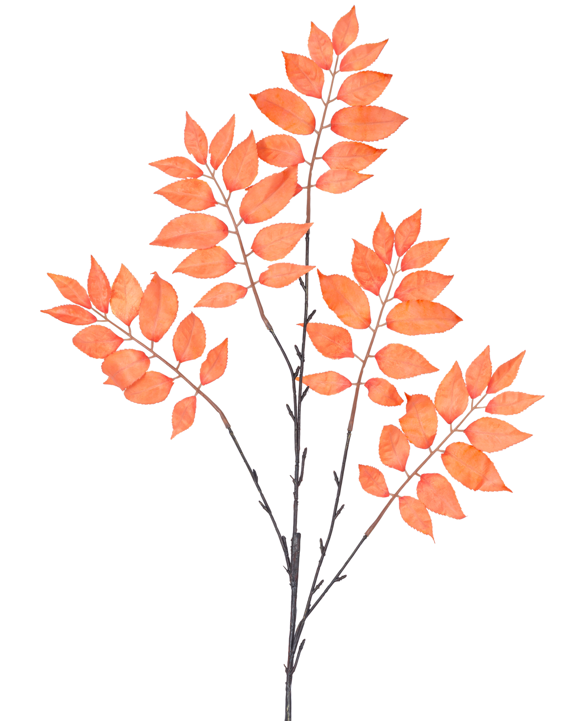 La fougère artificielle ramifiée de 83 cm orange possède trois bouquets de tiges fines et foncées avec de nombreuses feuilles ovales rouge orangé symétriques et ouvertes sur un fond blanc.