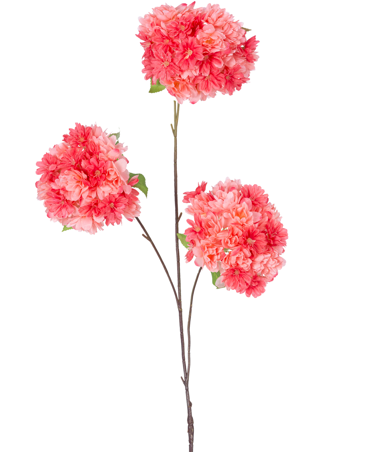 Une seule fine tige brune de la branche artificielle de fleur de cerisier de 85 cm de corail contient trois bouquets de fleurs de cerisier rose vif et corail avec des feuilles vertes, sur un fond blanc uni.
