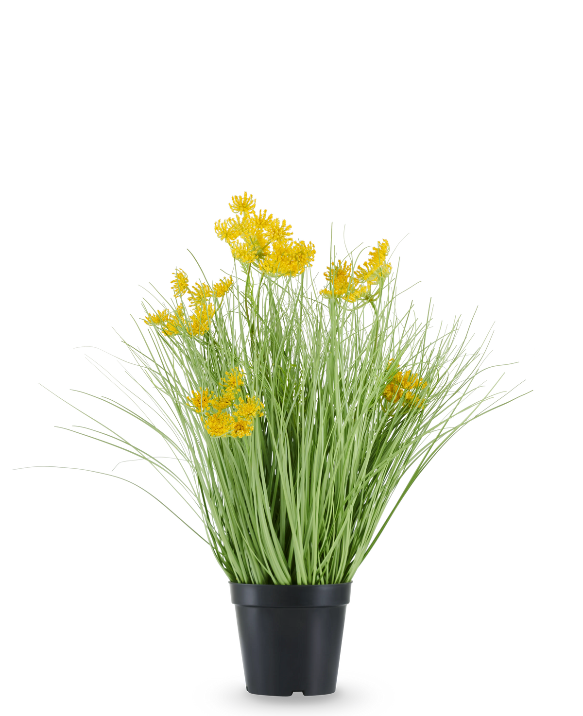 L'herbe d'oignon à fleurs de racine de gazon artificiel est logée dans un pot en plastique noir, avec de longues feuilles fines ressemblant à de l'herbe et des bouquets de petites fleurs jaune vif aux extrémités. La plante artificielle mesure 50 cm de haut, est ignifuge et se dresse sur un fond blanc uni.