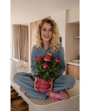 Une femme souriante aux cheveux blonds bouclés est assise les jambes croisées sur un comptoir de cuisine et tient une plante artificielle Gardenia UV de 39 cm en fuchsia. Elle porte une tenue en jean et des baskets roses.
