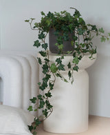 Un lierre artificiel Deluxe Green, un lierre suspendu de 90 cm dans un pot gris, se dresse sur une base sculpturale blanche et moderne à côté d'une couverture blanche pliée et d'un coussin blanc structuré.